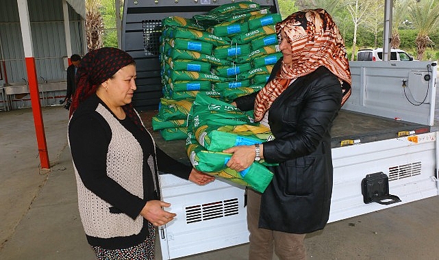 Büyükşehir Belediyesi’nden silajlık mısır tohumu dayanağı