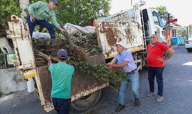 Buca Belediyesi, ziraî üretimde çeşitliliği artırmak gayesiyle köyler bölgesinde meyve fidanı dağıtımı yaptı