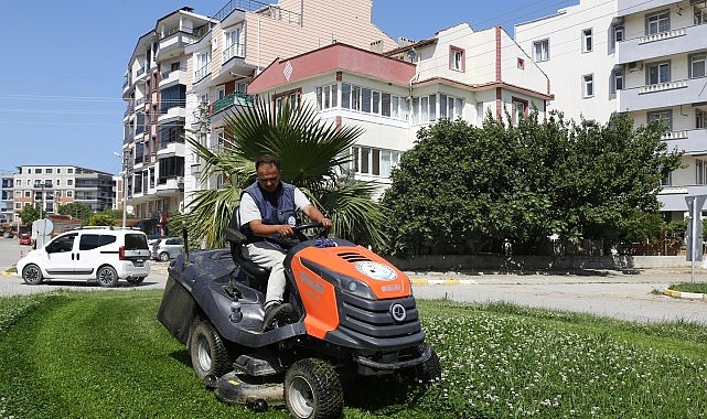 Burhaniye Belediyesi Park ve Bahçeler Müdürlüğü takımları, ilçe genelindeki yeşil alanlar ve parklarda bakım çalışmalarını sürdürüyor