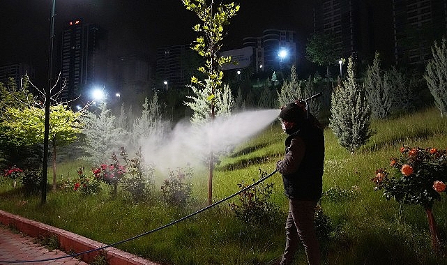 Keçiören Belediyesi, ilçe genelinde haşere ve sineklere karşı gece gündüz ilaçlama çalışması yürütüyor