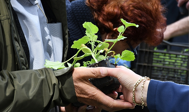 Lüleburgaz Belediyesinin serasında atalık tohumlardan elde ettiği 12 bin 500 adet zerzevat fidesi 14 Mayıs saat 12.00’da Kongre Meydanında vatandaşla paylaşılacak