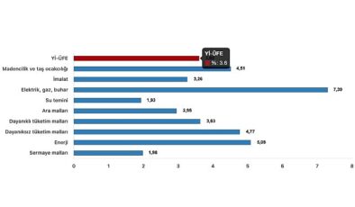 Tüik: Yurt İçi Üretici Fiyat Endeksi (Yİ-ÜFE) yıllık %55,66 arttı, aylık %3,60 arttı