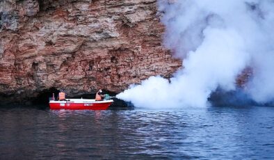 Vektörel gayret hem denizden hem karadan sürüyor