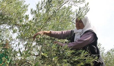 Yapay zekâ ve dijitalleşme ile Türk tarımında verimlilik, besin güvenliği ve ihracat artacak, besin kayıpları önlenecek