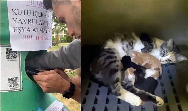 Yavru kedileri Buca Belediyesi takımları kurtardı