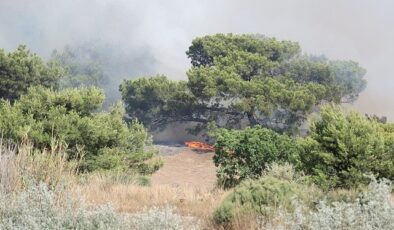 Antalya Büyükşehir İtfaiyesi alevlerle çaba ediyor