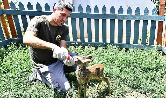 Doğal Hayat Parkı’nın şirin konuğu biberonla besleniyor