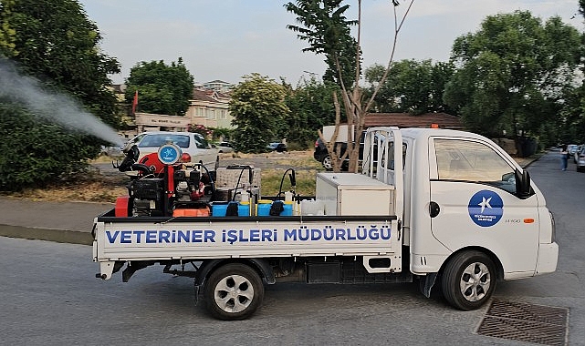 Küçükçekmece Belediyesi, sivrisineklere karşı kapsamlı bir çaba başlattı