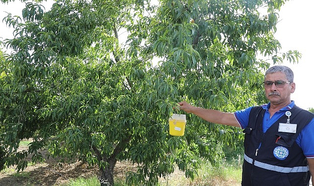 Narenciye İhracatına Büyükşehir Takviyesi