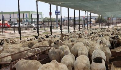 Selçuklu Belediyesi vatandaşların Kurban Bayramı’nı rahat ve huzurlu bir formda geçirmesi için tüm hazırlıkları tamamladı