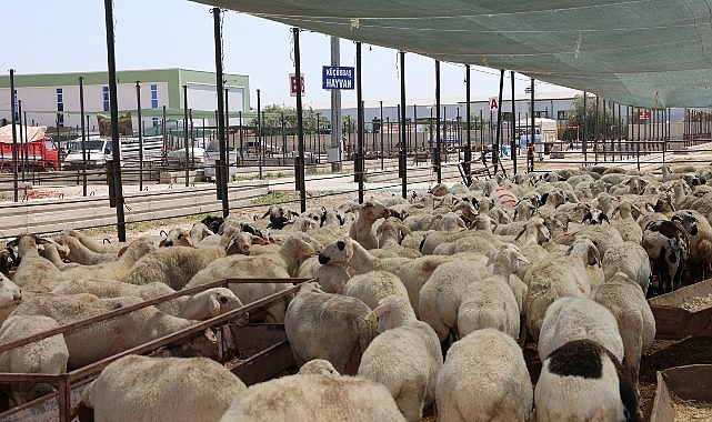 Selçuklu Belediyesi vatandaşların Kurban Bayramı’nı rahat ve huzurlu bir formda geçirmesi için tüm hazırlıkları tamamladı