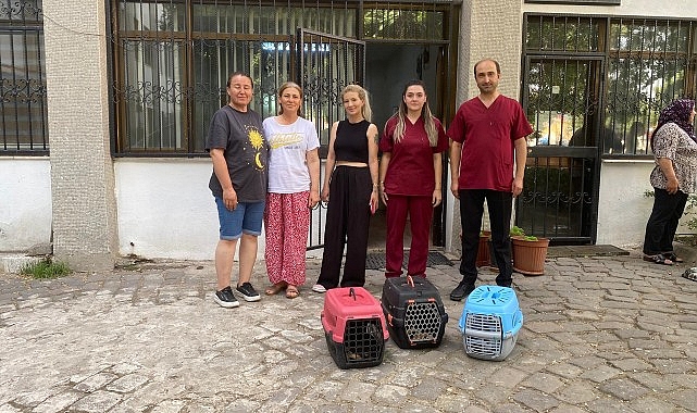 Salihli Belediyesi Sokaktaki Kedilerin Sıhhatine Dayanak